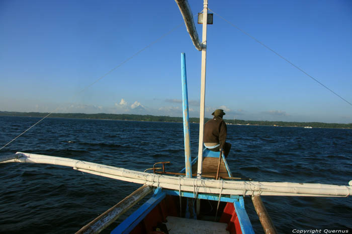 Butanding - Whaleshark searching Donsol / Philippines 