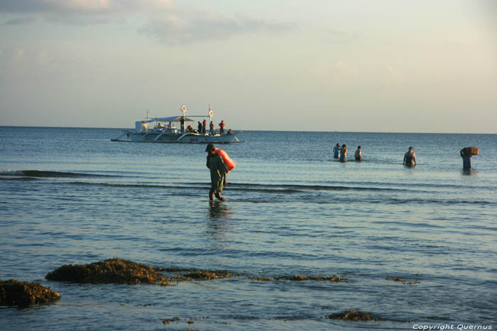 Butanding - Whaleshark searching Donsol / Philippines 