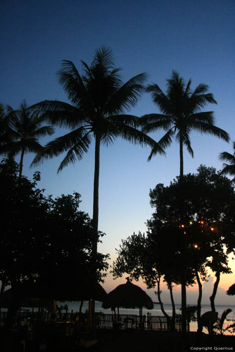 Coucher du soleil Donsol / Philippines 