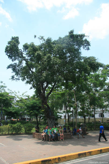 Rome Square  Manila Intramuros / Philippines 