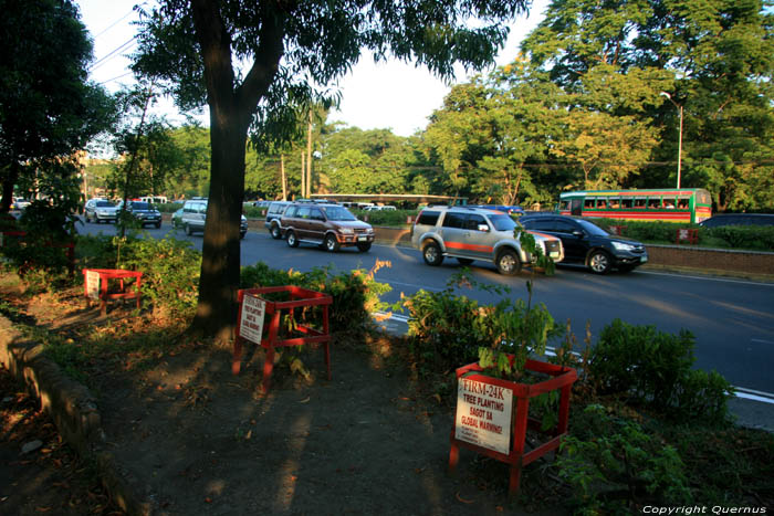 Trees against Global Climate Warming Manila / Philippines 