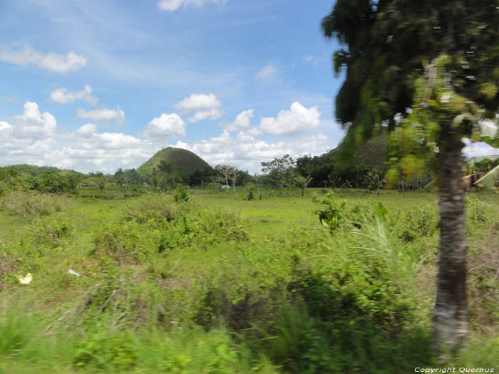 Chocolade Heuvels Bohol Eiland in Bohol Island / Filippijnen 