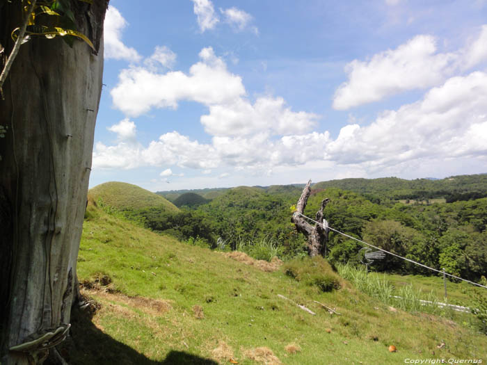 Chocolate Hills Bohol Island / Philippines 