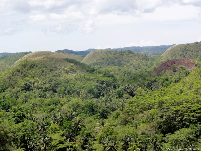 Chocolate Hills Bohol Island / Philippines 