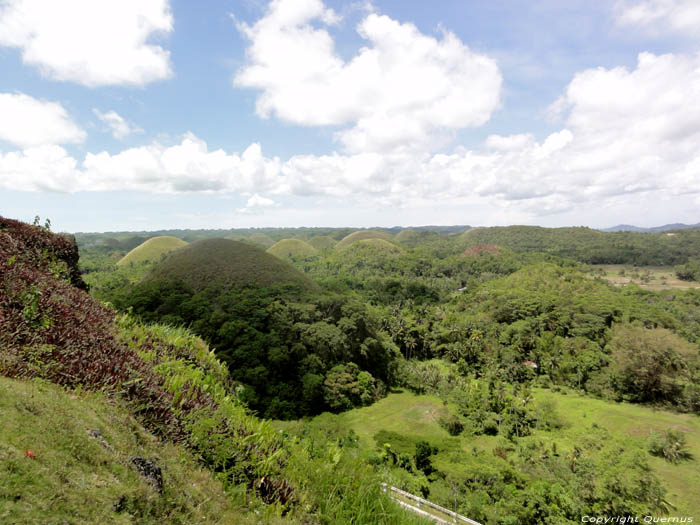 Chocolate Hills Bohol Island / Philippines 