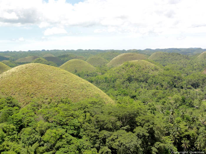 Chocolate Hills Bohol Island / Philippines 