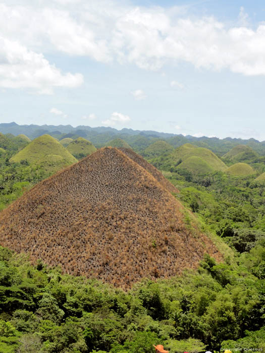 Chocolade Heuvels Bohol Eiland in Bohol Island / Filippijnen 