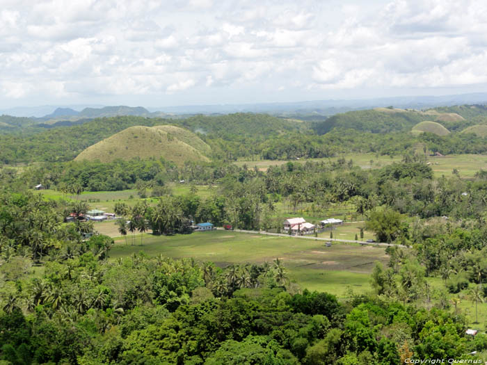 Chocolade Heuvels Bohol Eiland in Bohol Island / Filippijnen 