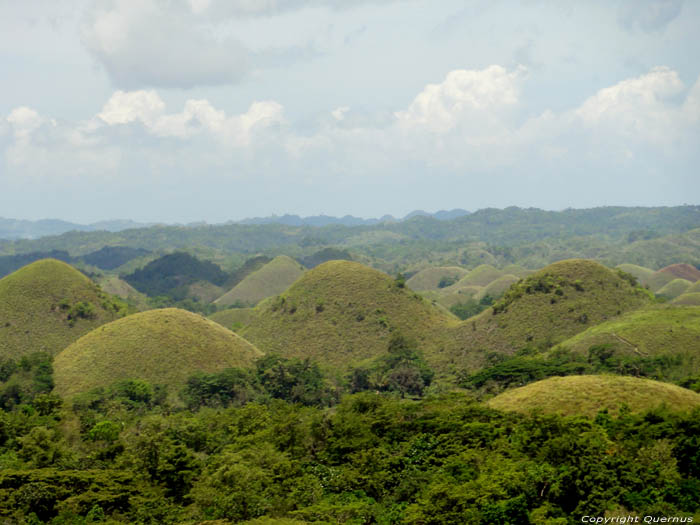 Chocolate Hills Bohol Island / Philippines 