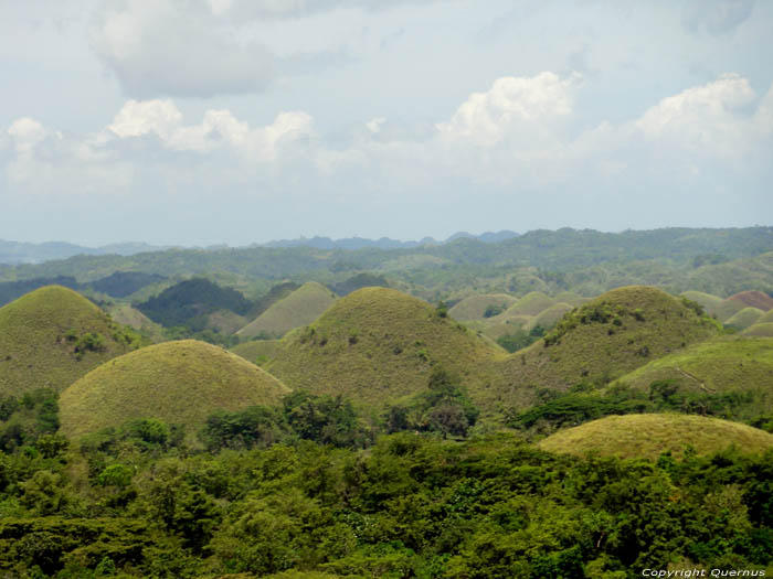 Chocolade Heuvels Bohol Eiland in Bohol Island / Filippijnen 