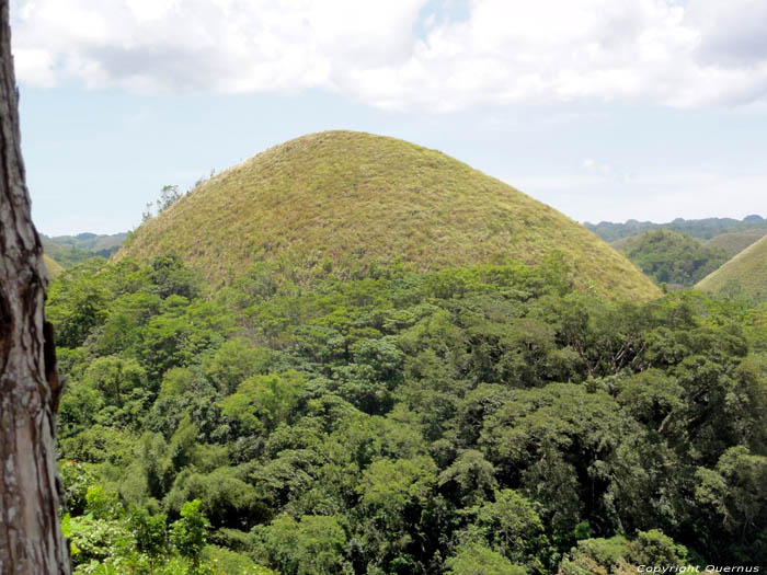 Chocolate Hills Bohol Island / Philippines 