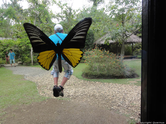 Papilon Museum Bohol Island / Philippines 