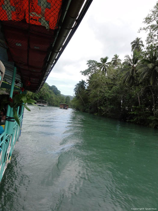 Rivire Ile de Bohol  Bohol Island / Philippines 