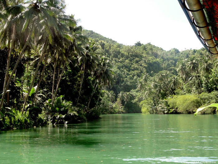 River Bohol Island / Philippines 