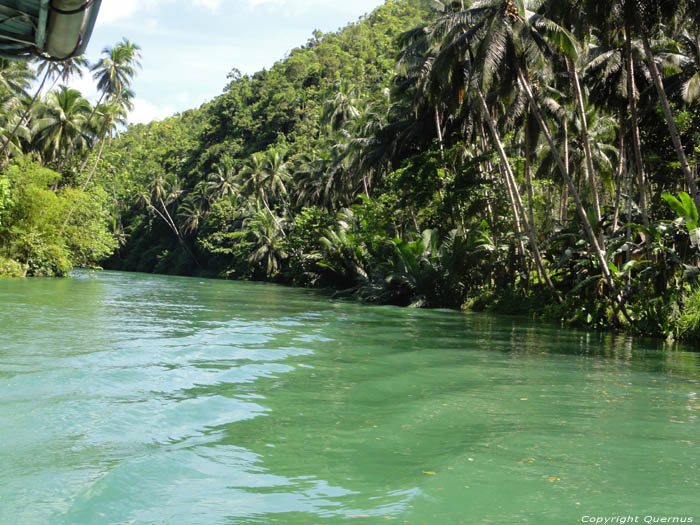 Rivier Bohol Eiland in Bohol Island / Filippijnen 