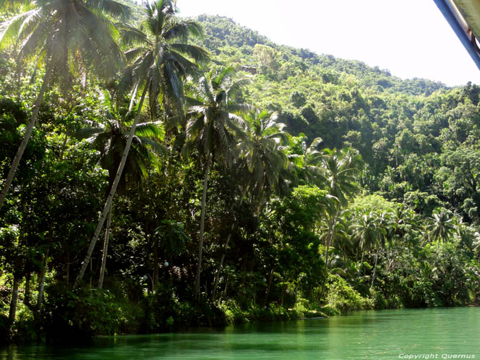 Rivire Ile de Bohol  Bohol Island / Philippines 
