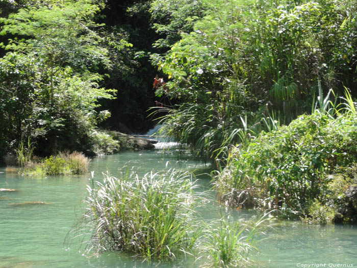 Rivier Bohol Eiland in Bohol Island / Filippijnen 