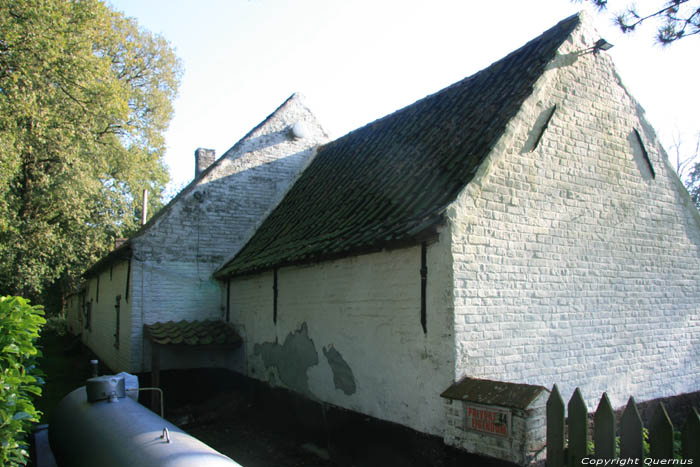 Hoeve aan Oude Bruggeweg MALDEGEM / BELGI 