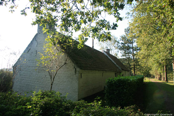 Hoeve aan Oude Bruggeweg MALDEGEM foto
