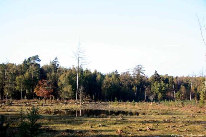 Fagne Spiegelaere dans Champs de Maldegem MALDEGEM photo