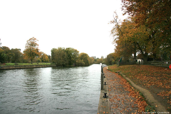 River Thames Wallingford / United Kingdom 