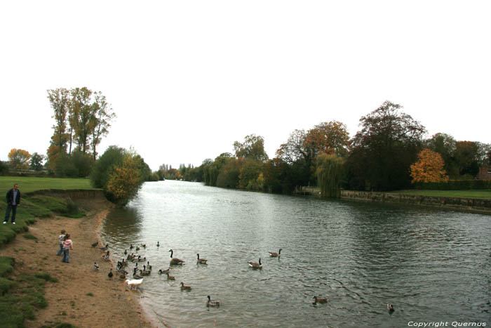 Rivire Thames Wallingford / Angleterre 