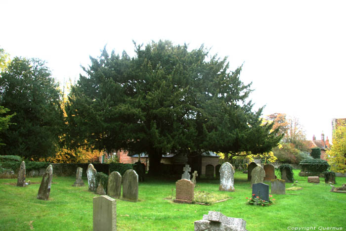 Saint Laurence Church WARBOROUGH / United Kingdom 