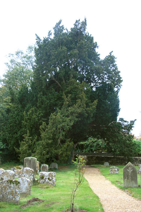 Saint Mary the Virgin Church Great Milton / United Kingdom 