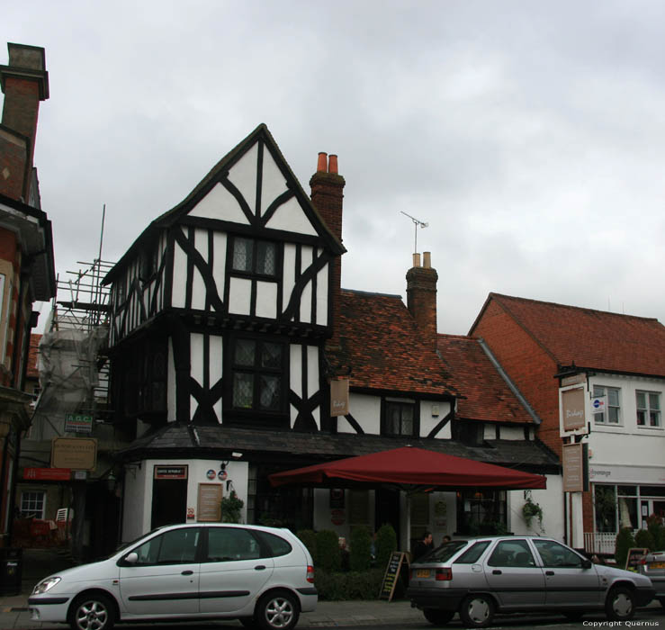 La Cage aux Oiseaux THAME / Angleterre 