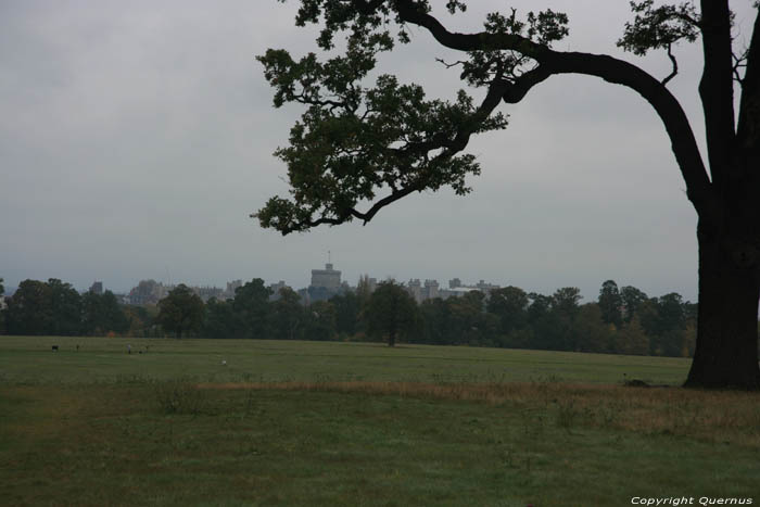 Windsor Kasteel WINDSOR / Engeland 