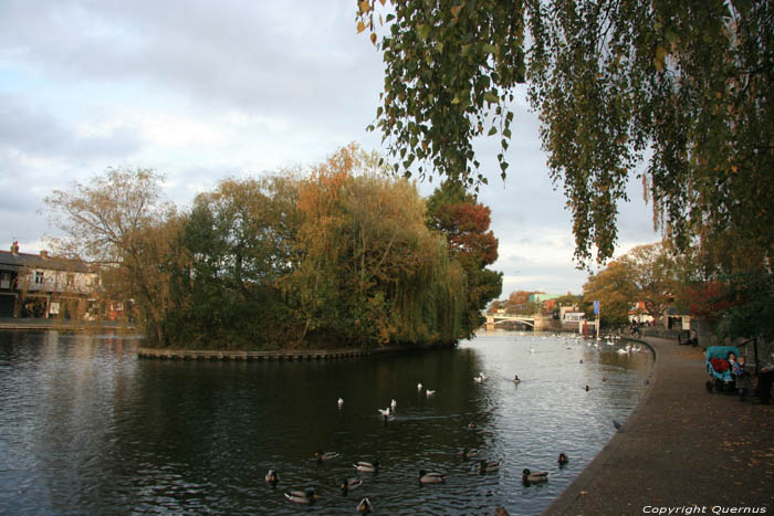 Thames Rivire WINDSOR / Angleterre 