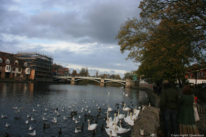 Thames Rivier WINDSOR / Engeland 