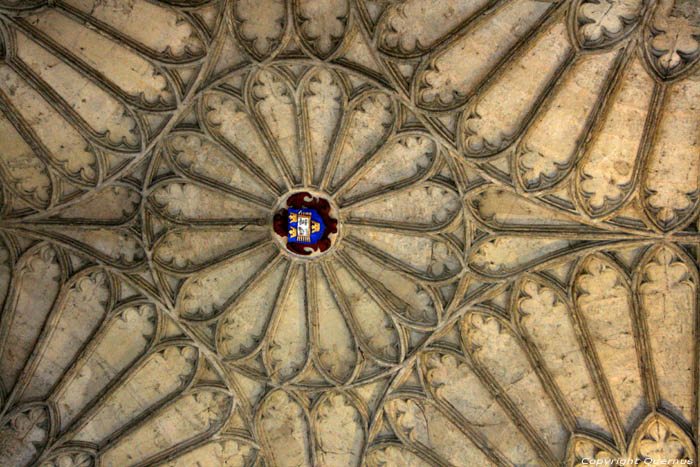 Collge de Christe glise Oxford / Angleterre 