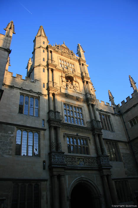 Librairie Botleian Oxford / Angleterre 