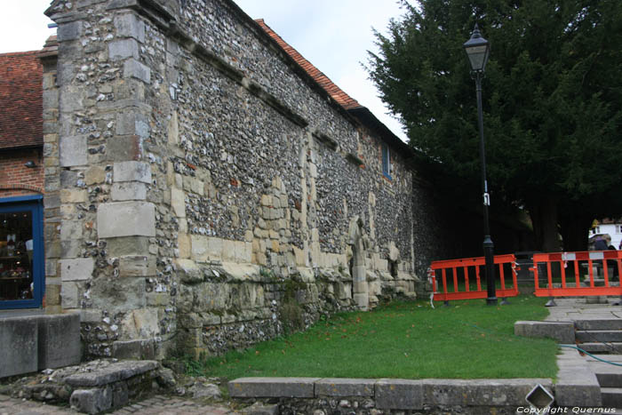 Cathedraal Heilige Drievuldigheid, Sint Petrus, Paulus en Sint Swithun Winchester / Engeland 