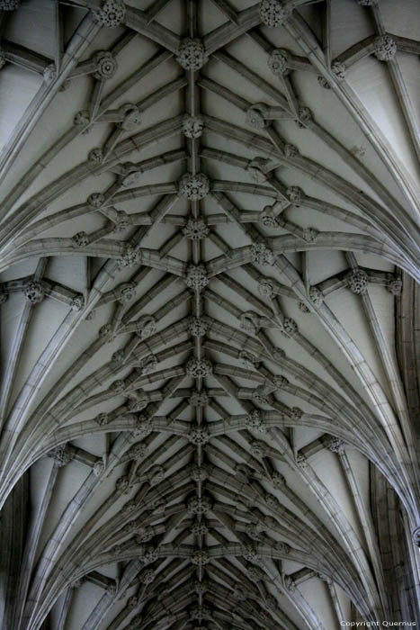 Cathedraal Heilige Drievuldigheid, Sint Petrus, Paulus en Sint Swithun Winchester / Engeland 