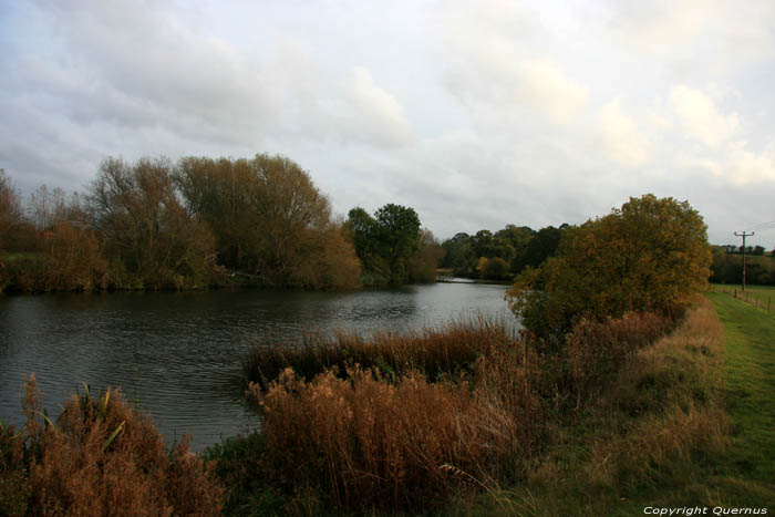 River Thames Dorchester / United Kingdom 