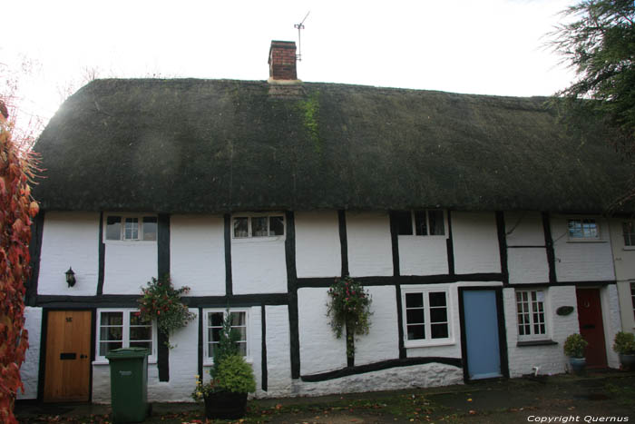 Row of houses in timber framing under thatched roof Dorchester / United Kingdom 