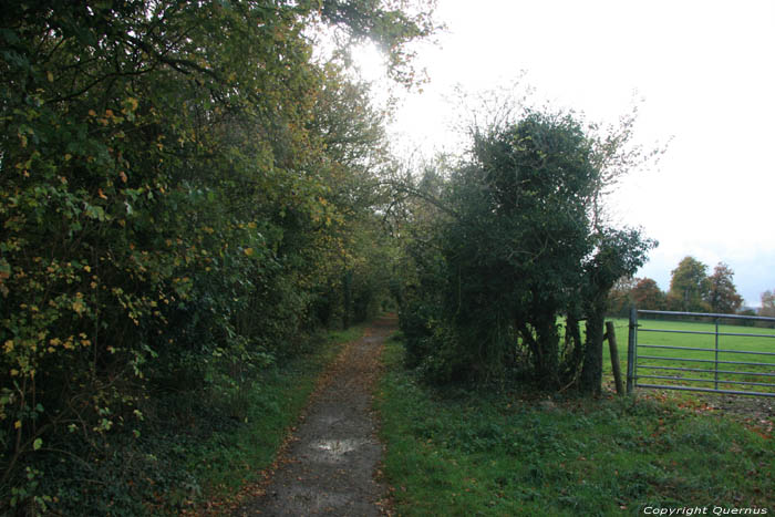 Walking Path Wallingford / United Kingdom 