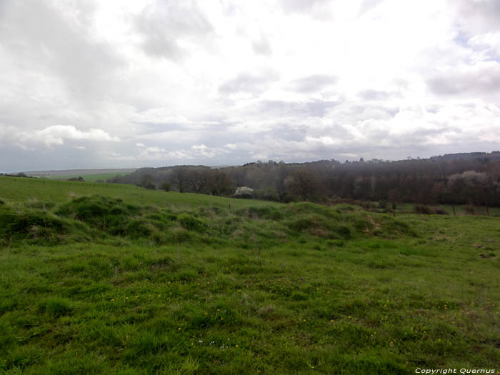 Landscape Renlies in BEAUMONT / BELGIUM 