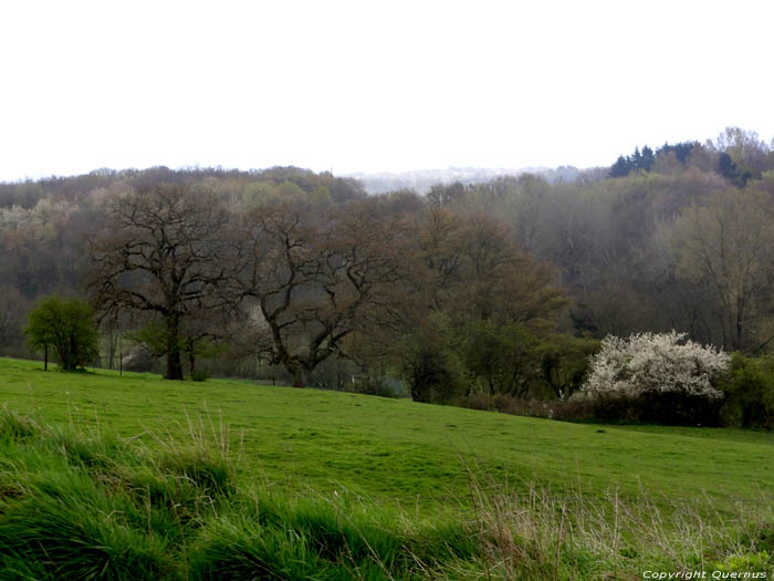 Landscape Renlies in BEAUMONT / BELGIUM 