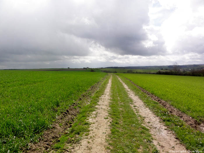 Chemin de pays Renlies / BEAUMONT photo 