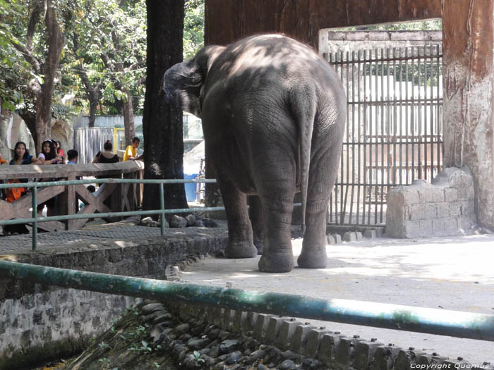 Zoo Manila / Philippines 