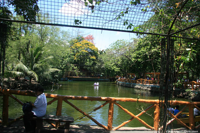 Zoo Manila / Philippines 