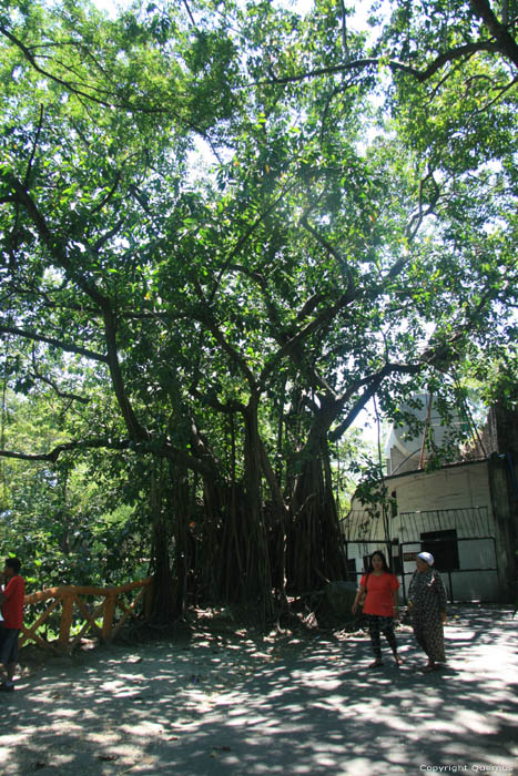 Zoo Manila / Philippines 