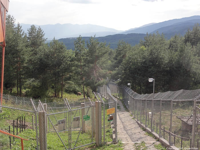 Refuge for Dancing Bears Belitsa / Bulgaria 