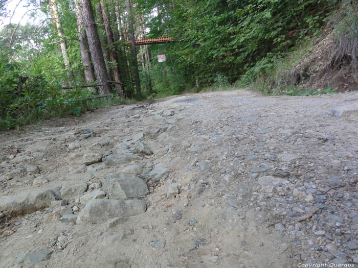 Road to Dancing Bears Refuge Belitsa / Bulgaria 