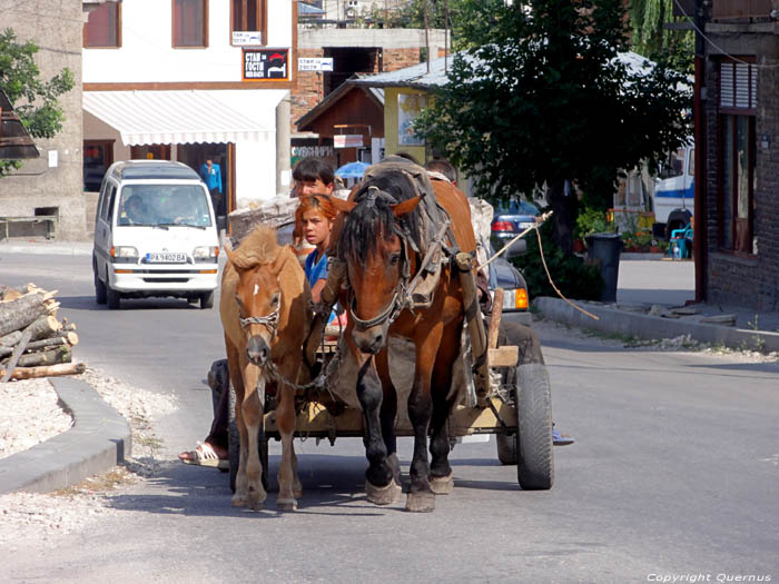 Chariot  cheval typique Batak / Bulgarie 