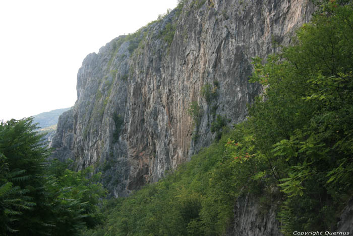 Sicevo kloof  