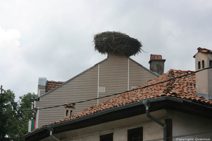 House with Stork's nest Batak / Bulgaria 